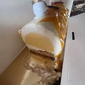 Bûche saveurs des îles (Vanille / Mangue / Passion) 🥭🌴